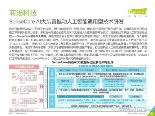 2021年中國人工智能基礎(chǔ)層行業(yè)報告 人工智能基礎(chǔ)軟件開發(fā)
